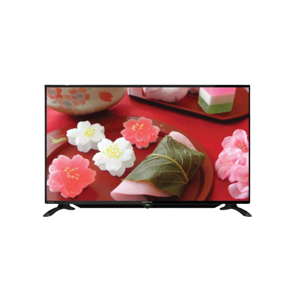 TV displaying a screen with flowers and food on a red background